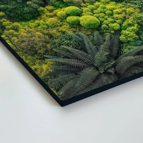 DUBLEZ | Dekoračný obraz machu - Nádych