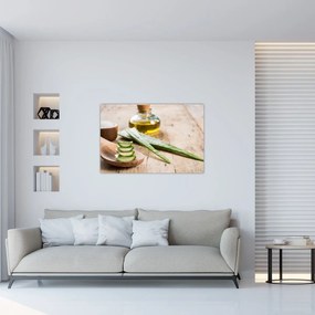 Obraz - Aloe vera (90x60 cm)