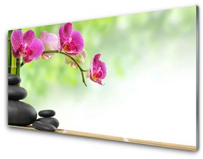 Skleneny obraz Bambusové výhonky kamene zen kúpele 100x50 cm