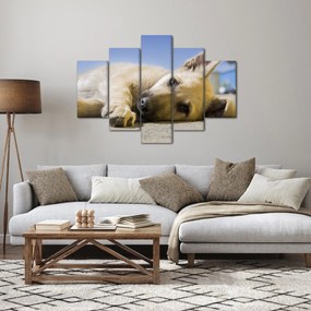 Obraz ležiaceho šteňaťa (150x105 cm)
