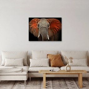 Obraz - Slony z Tsavo (70x50 cm)