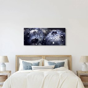 Obraz ovocia s kvapkami vody (120x50 cm)