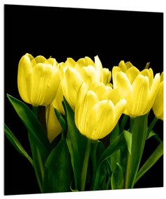 Obraz žltých tulipánov (30x30 cm)