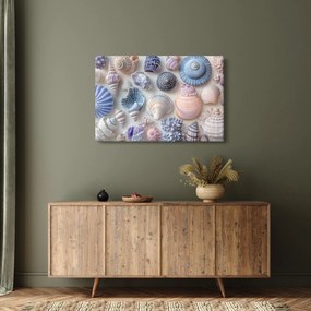 Obraz - Zbierka mušlí (90x60 cm)