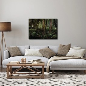Obraz - Tajomný les (70x50 cm)