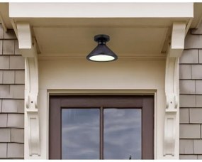 Westinghouse 61238 - Vonkajšie stropné svietidlo WALTER 1xE27/60W/230V IP44