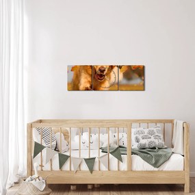 Obraz - Zlatý retriever (s hodinami) (90x30 cm)