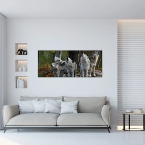 Obraz - Vlci na skale (120x50 cm)