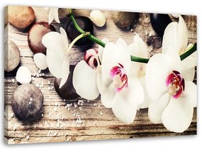 Obraz na plátně Orchidejové kameny Zen Bílá - 120x80 cm