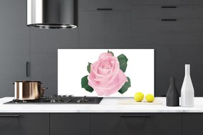 Nástenný panel  Ruže kvet rastlina 120x60 cm