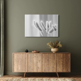 Obraz - Bunny tail grass (90x60 cm)