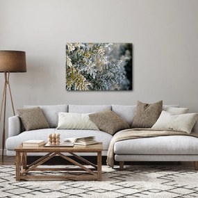 Obraz - Detail vetvy (70x50 cm)