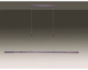 Paul Neuhaus 2568-24 - LED Stmievateľný luster na lanku ADRIANA LED/14W/230V