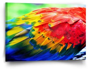Sablio Obraz Farebné perie 2 - 90x60 cm
