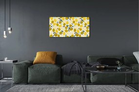 Obraz canvas citróny 125x50 cm