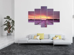 Obraz - Levanduľové pole (150x105 cm)