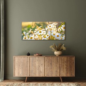 Obraz - Margaréta (120x50 cm)