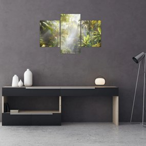 Obraz - Tropický dažďový prales (90x60 cm)