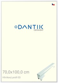 DANTIK rám na obraz 70x100 | ALU Bílá matná (Plexi Čiré)