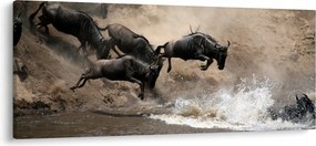Obraz - Stádo pakoňov (120x50 cm)