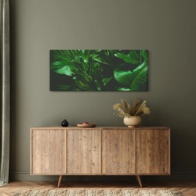 Obraz - Palmové listy (120x50 cm)