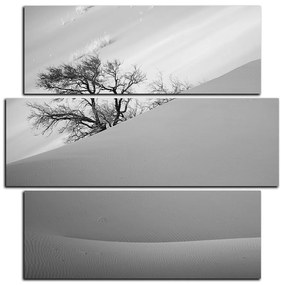 Obraz na plátne - Červené piesočné duny - štvorec 3133QD (75x75 cm)