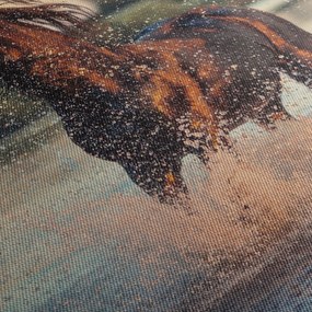 Obraz - Bežiaci kôň (70x50 cm)