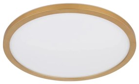 Globo 41562-24MM -LED Stm. kúpeľ. strop. svietidlo SAPANA LED/24W/230V IP44