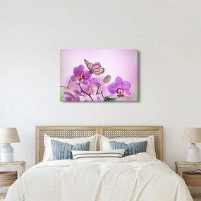 Obraz - Motýľ na kvetoch orchidey, lila (90x60 cm)