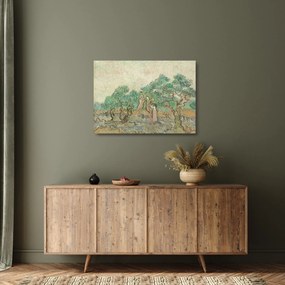 Sklenený obraz - Vincent van Gogh, The Olive Orchard, reprodukcia (70x50 cm)