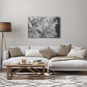 Obraz - Smrekový les (90x60 cm)