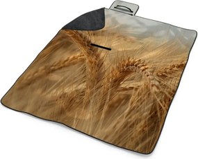 Sablio Plážová deka Klasy 2: 200x140 cm