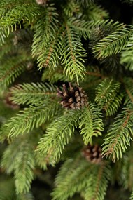 Vianočný stromček- Jedľa Pola premium 3D so šiškami- 170cm