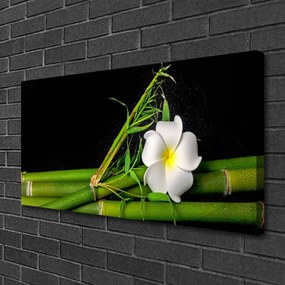 Obraz na plátne Bambus kvet rastlina 120x60 cm