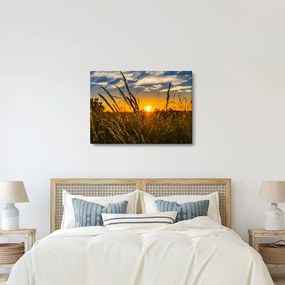 Obraz pole pri západe slnka (70x50 cm)