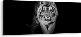Obraz - Tiger so žltými očami (120x50 cm)