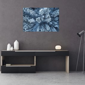 Obraz - Zasnežený les (90x60 cm)
