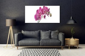 Obraz plexi Orchidea kvety príroda 120x60 cm