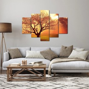 Obraz lúčov Boha (150x105 cm)