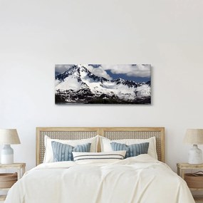 Obraz - Národný park Kenai Fjords (120x50 cm)
