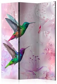 Artgeist Paraván - Colourful Hummingbirds [Room Dividers]