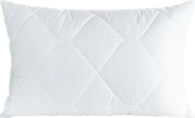 VANKÚŠ SILVER 50X70 CM BIELA