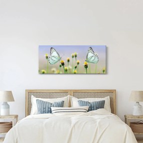 Obraz motýľov na kvetine (120x50 cm)