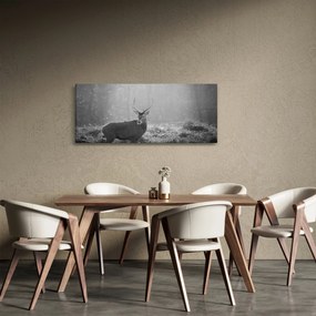 Obraz - Jeleň v lese, čiernobiela (120x50 cm)