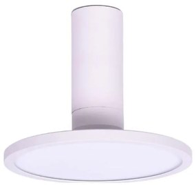 Rabalux 71328 - LED Stropné svietidlo OVIDIA LED/20W/230V 3000K biela