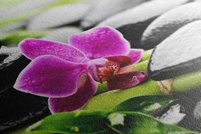 Obraz Spa zátišie s fialovou orchideou Varianta: 90x60