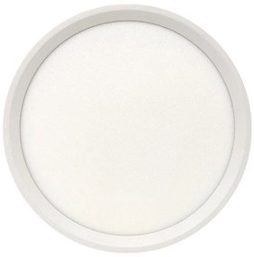 LED stropné svietidlo LED/18W/230V 3000/4000/6500K priemer 23 cm biela