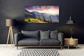 Obraz plexi Hora les slnko krajina 120x60 cm