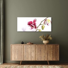 Obraz kvetu orchidey (120x50 cm)