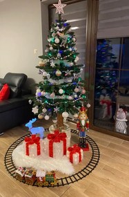 Jedľa Karpatská na pni 220cm